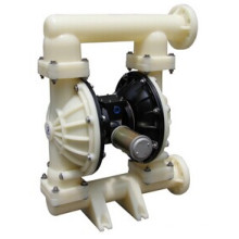 Wilden Air-Operated Double Diaphragm Pump